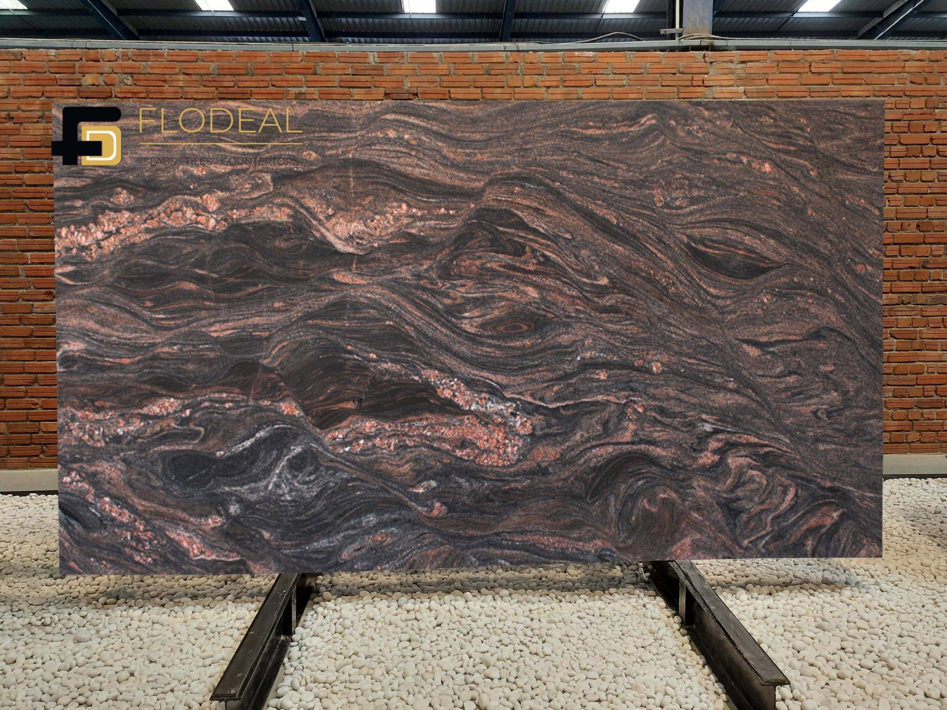 himalayan blue 1 scaled